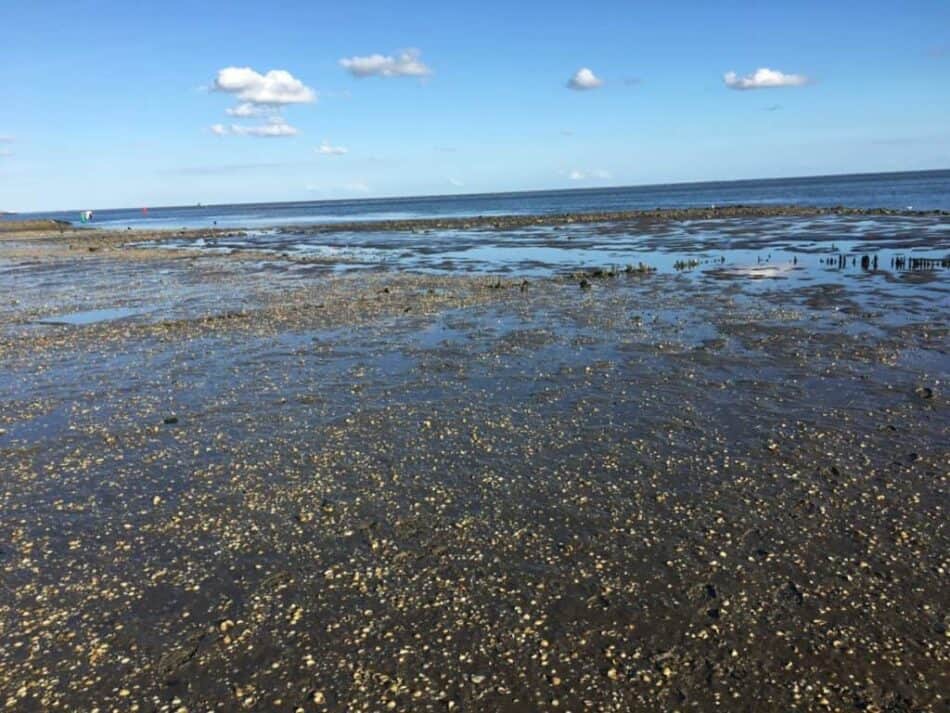 Een drooggevallen zandbank in de Waddenzee
