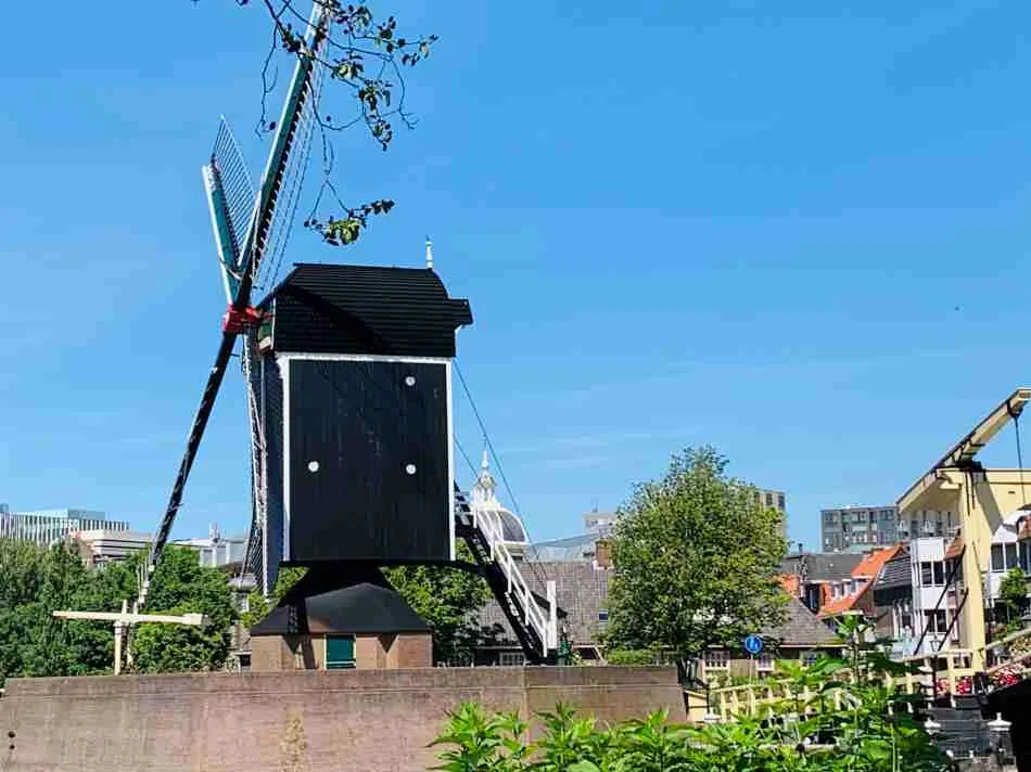 Een historische zwarte windmolen in de stad Leiden, gelegen in de nabijheid van het geboortehuis van Rembrandt, tegen een achtergrond van heldere lucht en stedelijke architectuur.