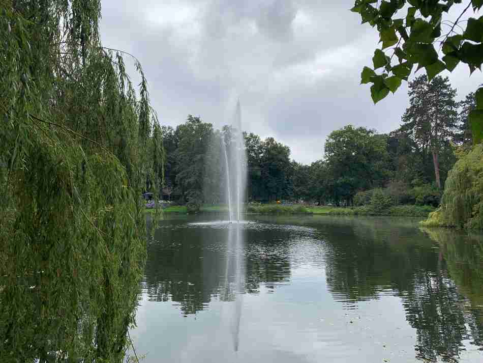 De vijver in het Wilhelminapark in Utrecht
