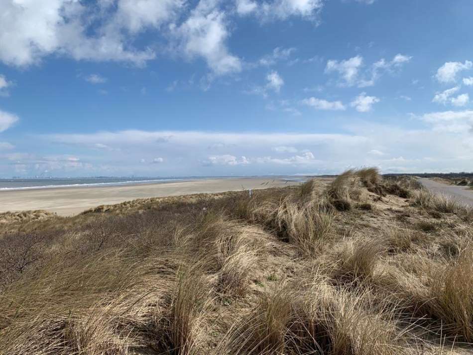 Duinen en strand aan de Nederlandse kust