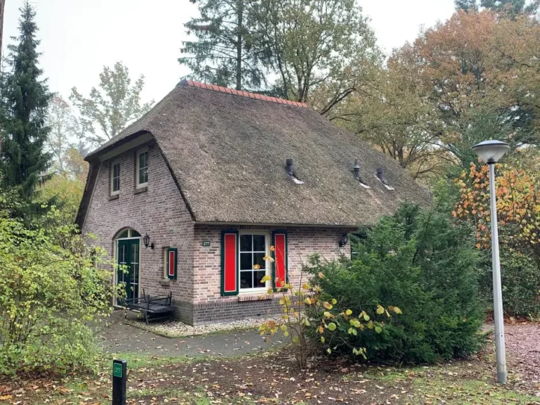 Rietgedekte vakantiewoning in de bossen van vakantiepark Land van Bartje in Drenthe